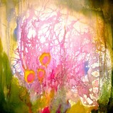 by Nelly van Nieuwenhuijzen