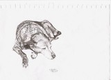 by Christine Hilditch