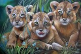 by Malou Pombo