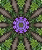 by Terry Harris
