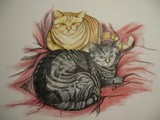 by Kemlyn Tan Bappe