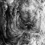 by Andrzej Masianis