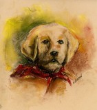 by Marilyn Barton