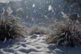 by VELYKIO - gintautas velykis -