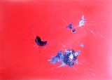 by amira el-fohail