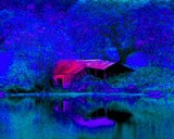 by Phil Hamilton