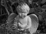 by joy sheehan