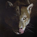 by Kathie Miller