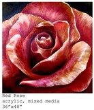 by Paola N. Dawson