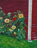 by Heather Leigh Douglas