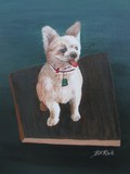 by Barbara Reid