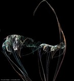 by Michelle Duerden