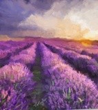 by Ralph Taylor