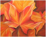 by Carolyn Rayburn