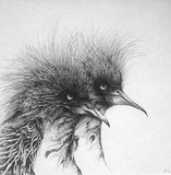by ineke smienk