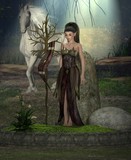 by Danniella Schvarcz