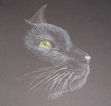 by Becca Gregory