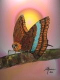 by Maria Anna Machado