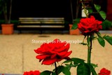 by Stormy Seas Photography