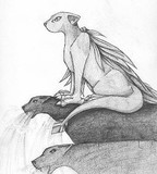 by Alyssa White