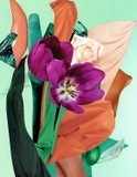 by Collage Art