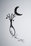 by Joana D'Assumpcao