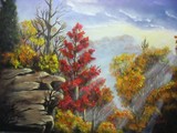 by Wendy Cook