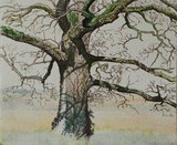 by Clive Edwards