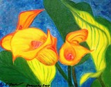 by Elizabeth Janus