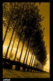 by yahya ghadamgahi