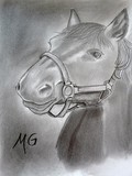 by Michel Gingras