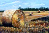 by Joan  Wulff