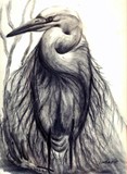 by linda lindall