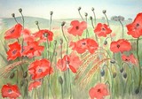 by Robin Woodford
