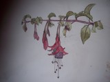 by Abi Ryan