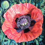 by Linda Mahoney
