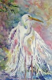 by Nancy Melton