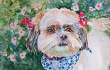 by Nancy Melton