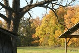 by CM  Sackett
