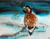 by Jacqueline Kinsey