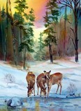by Marilyn Fuerstenberg