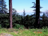 by anirban chandra pal