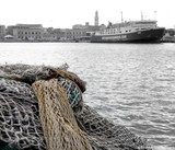 by Ileanna Giannoccaro