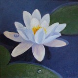 by Anneke de Vries