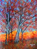 by Maggie Ullmann