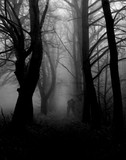 by Rob Merriam