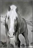 by Geri Dunn