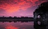by Tak-Sek Chan
