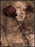by cile bailey