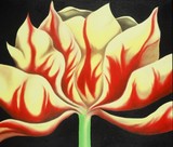 by Schuyler Rideout